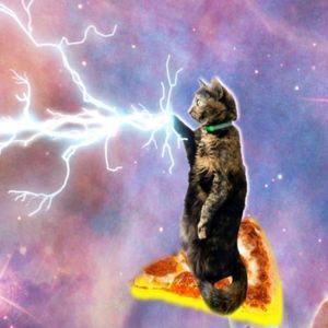 Meet your Posher, Jillian